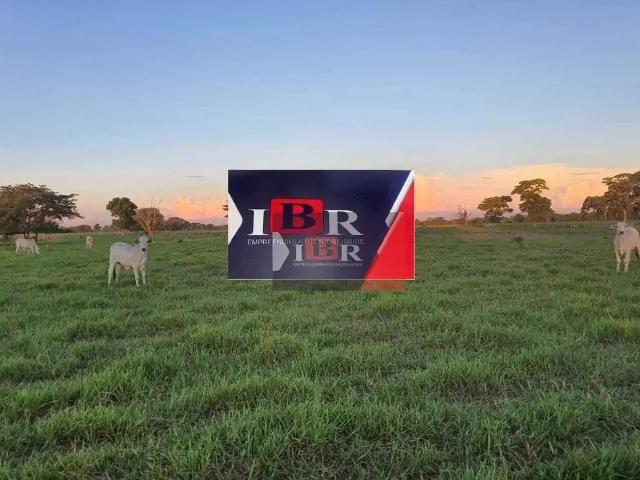 Fazenda venda em Região Geográfica Imediata de Campo Grande, Campo Grande
