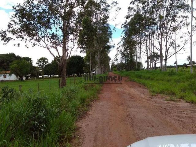 Fazenda venda em Região Geográfica Imediata de Campo Grande, Campo Grande