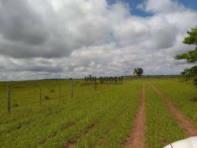 Fazenda venda em Região Geográfica Imediata de Campo Grande, Campo Grande