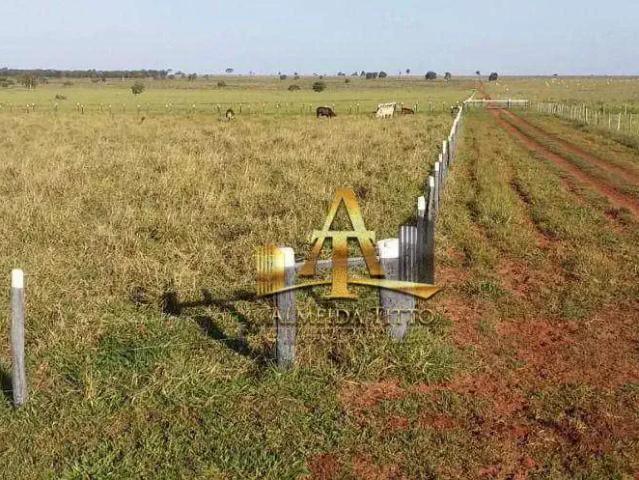 Fazenda venda em Região Geográfica Imediata de Campo Grande, Campo Grande
