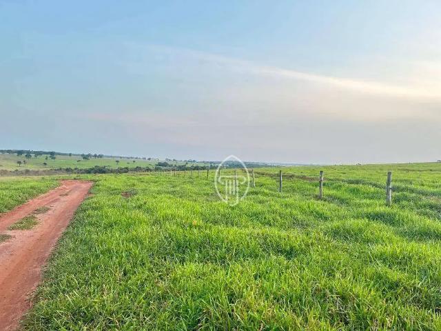 Fazenda venda em Região Geográfica Imediata de Campo Grande, Campo Grande
