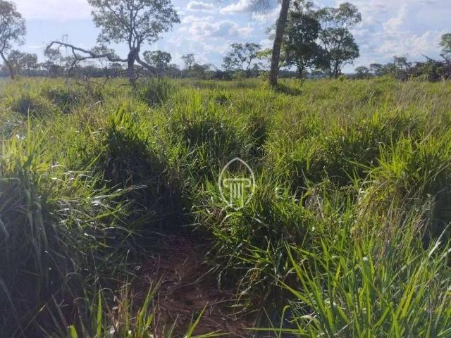 Fazenda venda em Região Geográfica Imediata de Campo Grande, Campo Grande