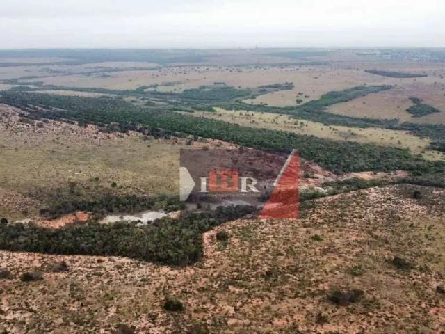 Fazenda venda em Região Geográfica Imediata de Campo Grande, Campo Grande