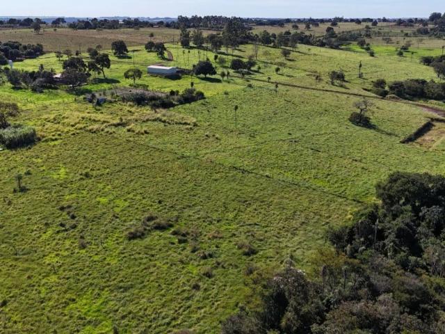 Fazenda venda em Monte Castelo, Campo Grande