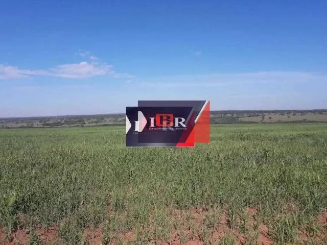 Fazenda venda em Região Geográfica Imediata de Campo Grande, Campo Grande