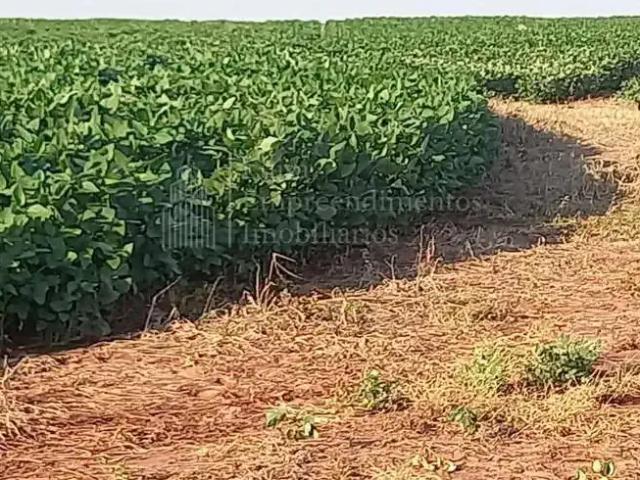 Fazenda venda em Região Geográfica Imediata de Campo Grande, Campo Grande
