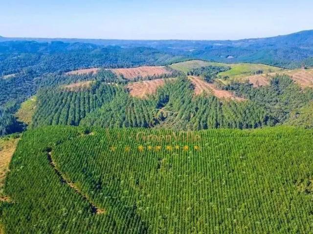 Fazenda venda em Região Geográfica Imediata de Curitiba, Região Metropolitana de Curitiba