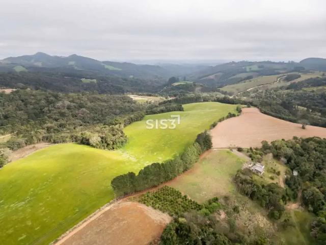 Fazenda venda em Região Geográfica Imediata de Curitiba, Região Metropolitana de Curitiba