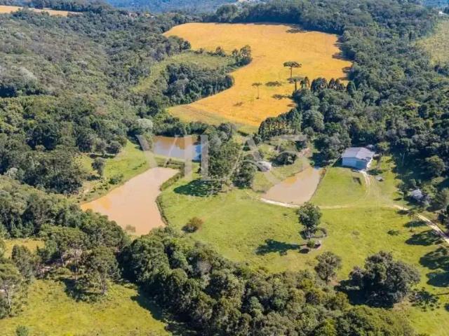 Fazenda venda em Região Geográfica Imediata de Curitiba, Região Metropolitana de Curitiba