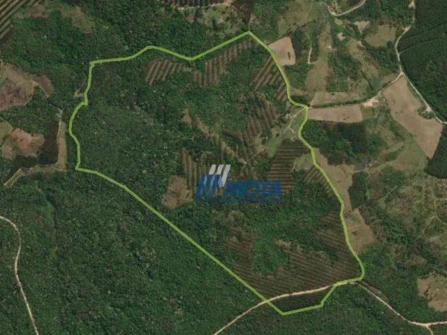 Fazenda venda em Região Geográfica Imediata de Curitiba, Região Metropolitana de Curitiba