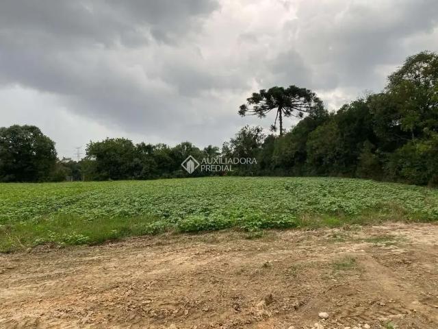 Fazenda venda em Região Geográfica Imediata de Curitiba, Região Metropolitana de Curitiba