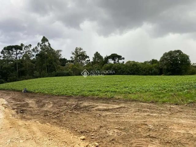 Fazenda venda em Região Geográfica Imediata de Curitiba, Região Metropolitana de Curitiba