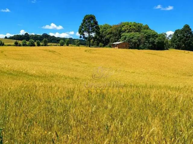 Fazenda venda em Região Geográfica Imediata de Curitiba, Região Metropolitana de Curitiba