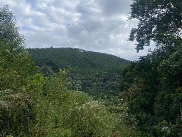 Fazenda venda em Região Geográfica Imediata de Curitiba, Região Metropolitana de Curitiba