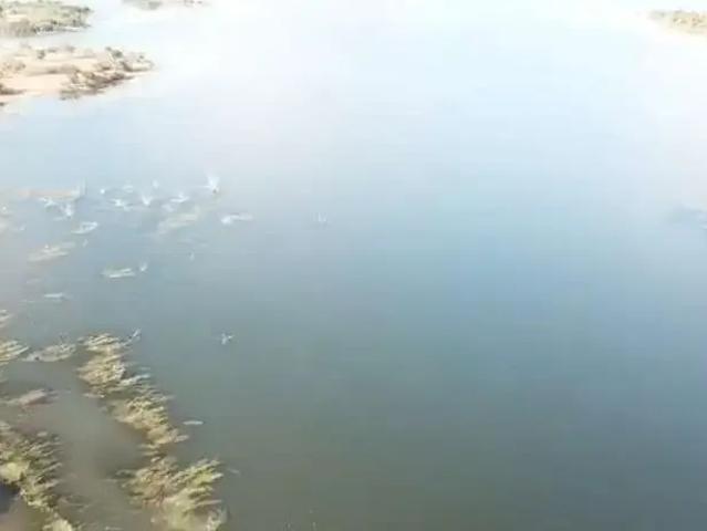 Fazenda venda em Campo Maior, Região Nordeste