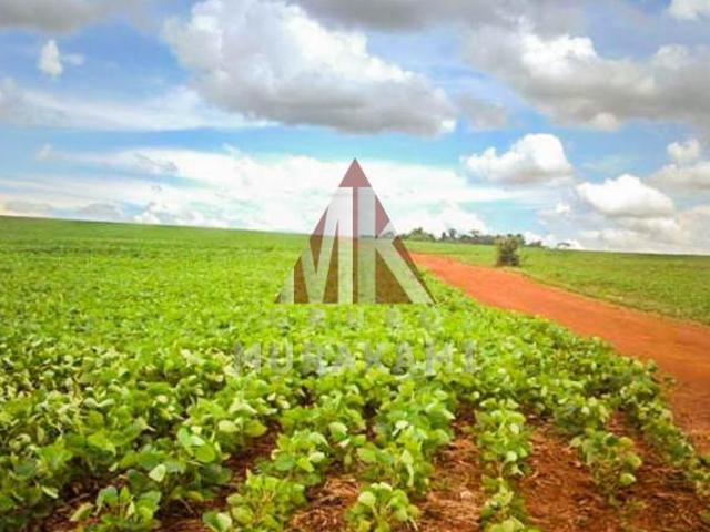 Sítio e chácara venda em Região Geográfica Imediata de Campo Mourão, Fênix