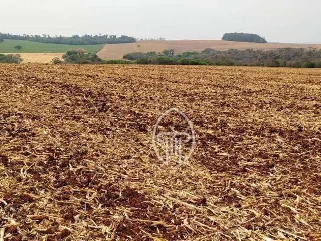 Fazenda venda em Região Geográfica Imediata de Campo Mourão, Campo Mourão