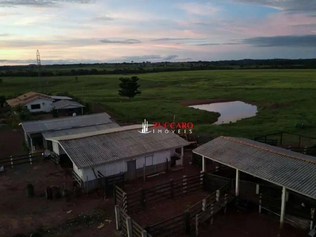 Fazenda venda em Campo Novo de Rôndonia, Região Norte