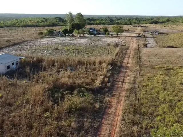 Fazenda venda em Região Geográfica Imediata de Tangará da Serra, Campo Novo do Parecis