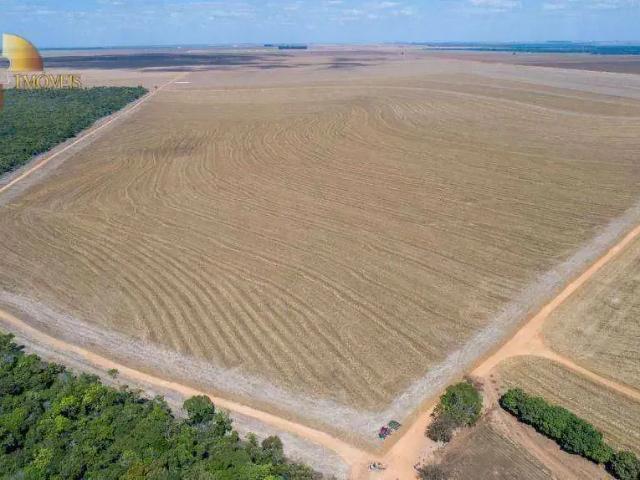 Fazenda venda em Região Geográfica Imediata de Tangará da Serra, Campo Novo do Parecis