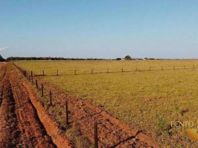 Fazenda venda em Região Geográfica Imediata de Tangará da Serra, Campo Novo do Parecis
