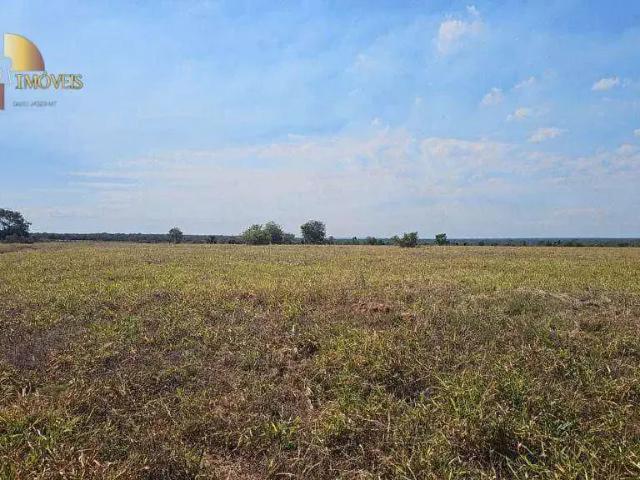 Fazenda venda em Região Geográfica Imediata de Tangará da Serra, Campo Novo do Parecis