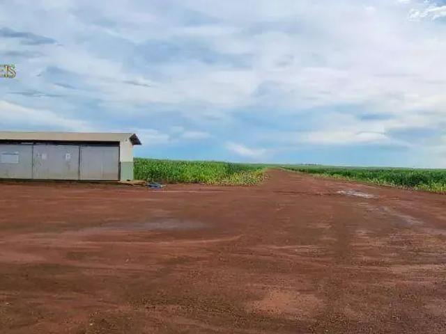 Fazenda venda em Região Geográfica Imediata de Tangará da Serra, Campo Novo do Parecis