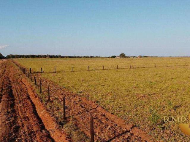 Fazenda venda em Centro, Campo Novo do Parecis