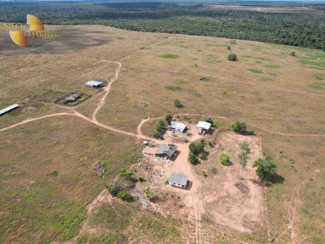 Fazenda venda em Região Geográfica Imediata de Tangará da Serra, Campo Novo do Parecis