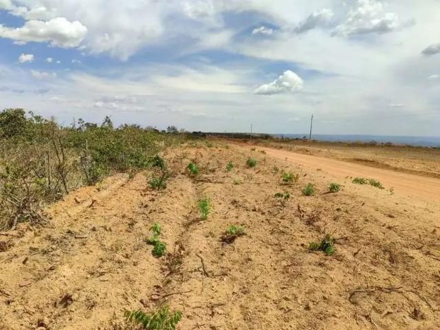Fazenda venda em Região Geográfica Imediata de Cuiabá, Região Metropolitana do Vale do Rio Cuiabá