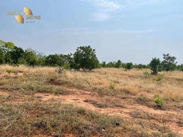 Fazenda venda em Campo Verde, Região Geográfica Intermediária de Cuiabá