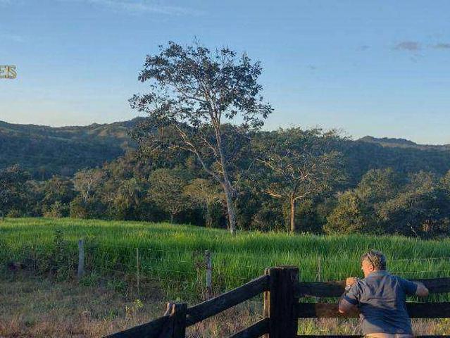 Fazenda venda em Campo Verde, Região Geográfica Intermediária de Cuiabá
