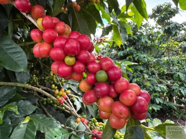 Fazenda venda em Região Geográfica Imediata de Araxá, Campos Altos