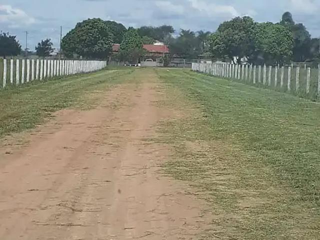 Fazenda venda em Região Geográfica Imediata de Posse-Campos Belos, Campos Belos