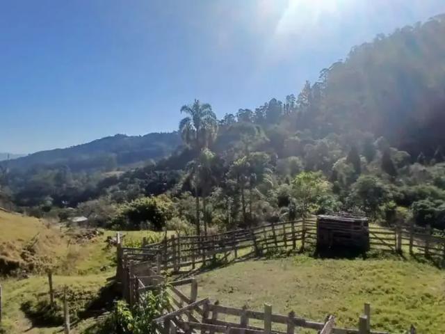 Fazenda venda em Vila Paulista, Campos do Jordão