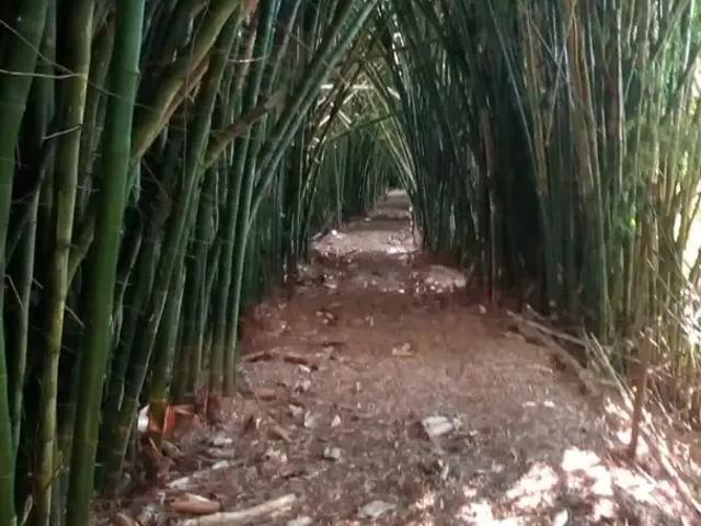 Fazenda venda em Região Geográfica Imediata de Campos dos Goytacazes, Campos dos Goytacazes