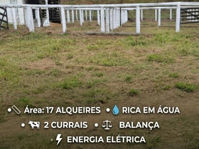 Fazenda venda em Santo Eduardo, Campos dos Goytacazes