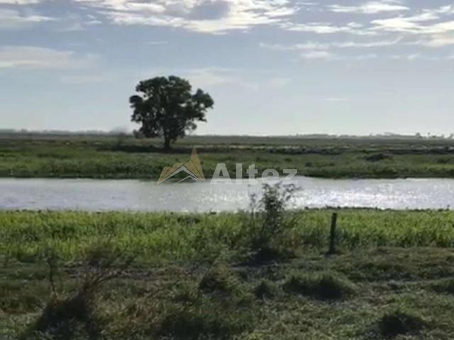 Fazenda venda em Campos dos Goytacazes, Região Geográfica Intermediária de Campos dos Goytacazes