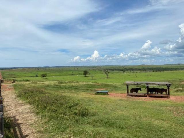 Sítio e chácara venda em Região Geográfica Imediata de Confresa - Vila Rica, Canabrava do Norte