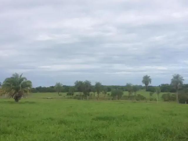 Fazenda venda em Região Geográfica Imediata de Confresa - Vila Rica, Canabrava do Norte