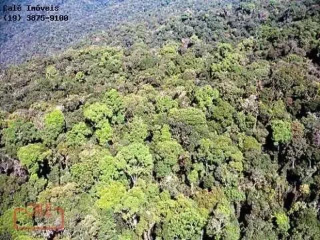 Fazenda venda em Região Imediata de Registro, Cananeia
