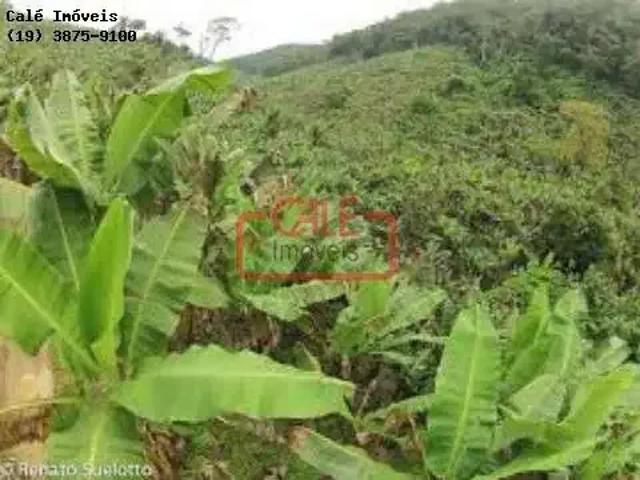 Fazenda venda em Região Imediata de Registro, Cananeia