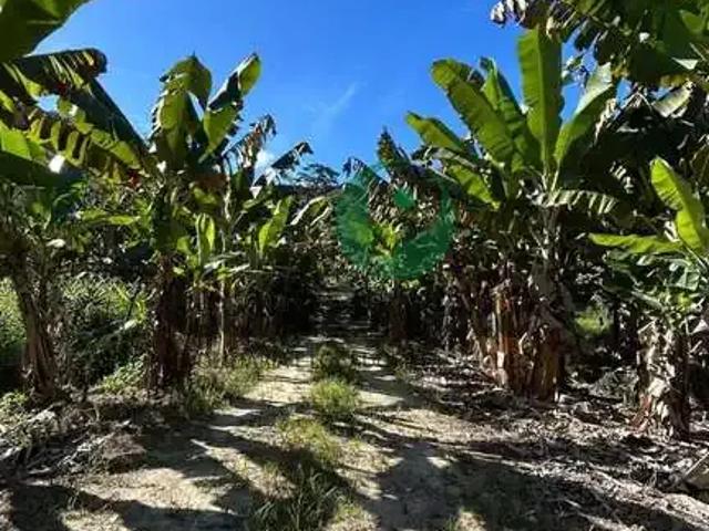 Fazenda venda em Região Imediata de Registro, Cananeia