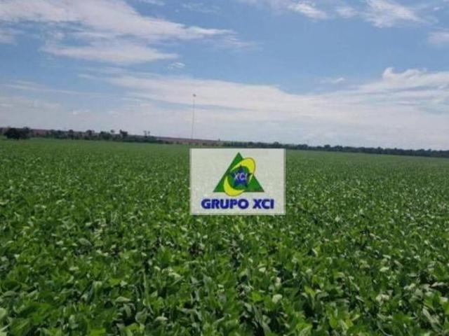 Sítio e chácara venda em Região Geográfica Imediata de Água Boa, Canarana