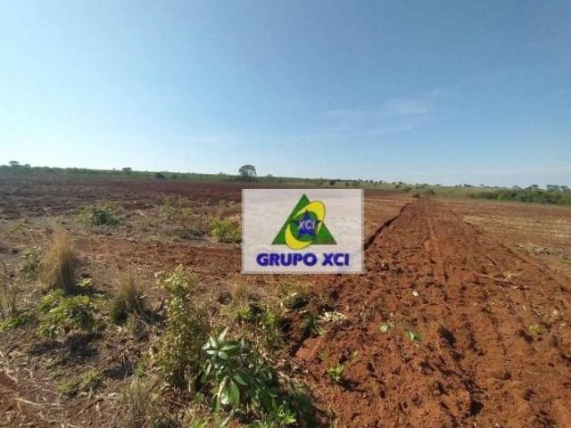 Sítio e chácara venda em Região Geográfica Imediata de Água Boa, Canarana