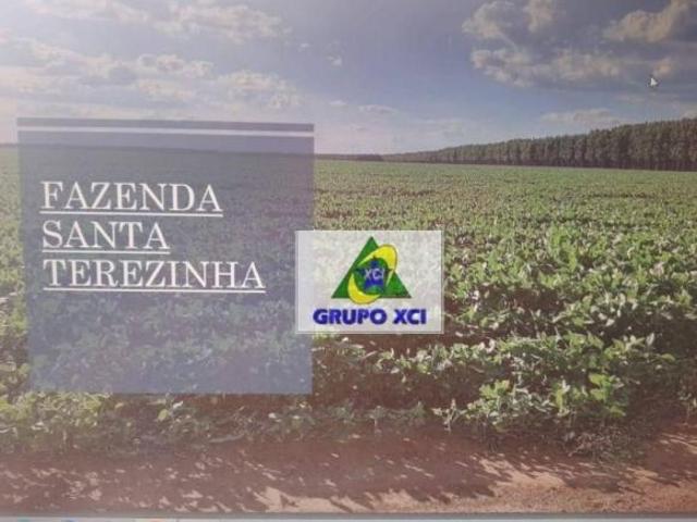 Sítio e chácara venda em Região Geográfica Imediata de Água Boa, Canarana