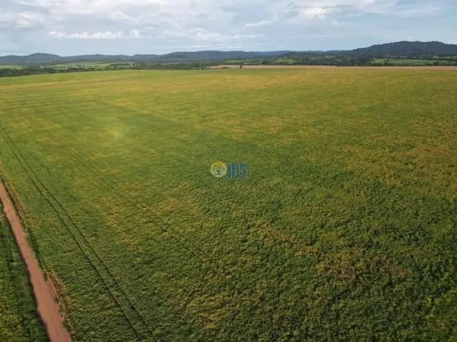 Fazenda venda em Região Geográfica Imediata de Água Boa, Canarana