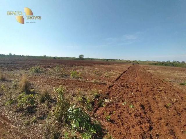 Fazenda venda em Região Geográfica Imediata de Água Boa, Canarana