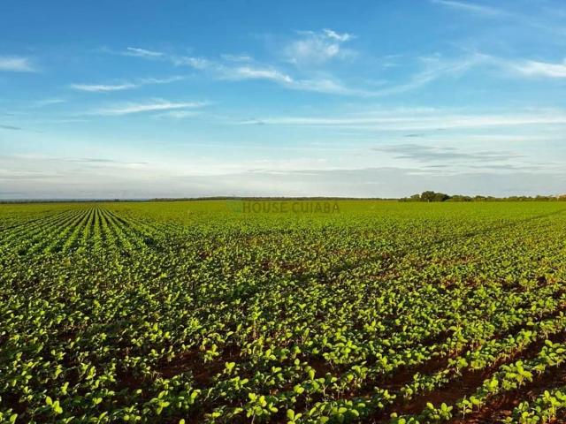 Fazenda venda em Centro, Canarana