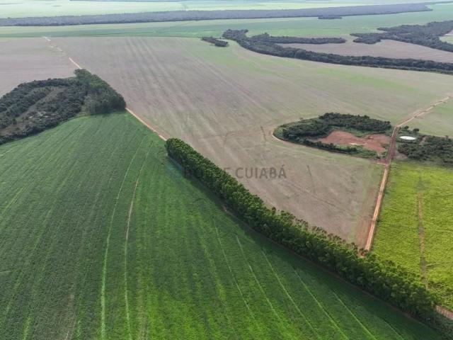 Fazenda venda em Centro, Canarana